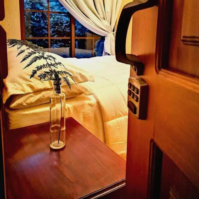 Vive Utila - Bed & Breakfast Exterior photo