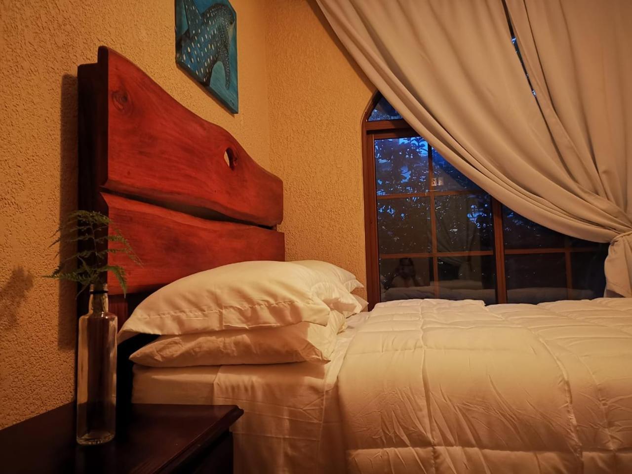 Vive Utila - Bed & Breakfast Room photo