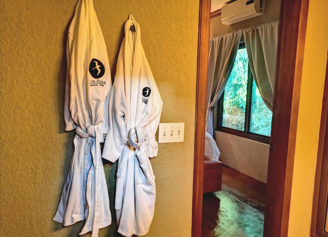 Vive Utila - Bed & Breakfast Room photo